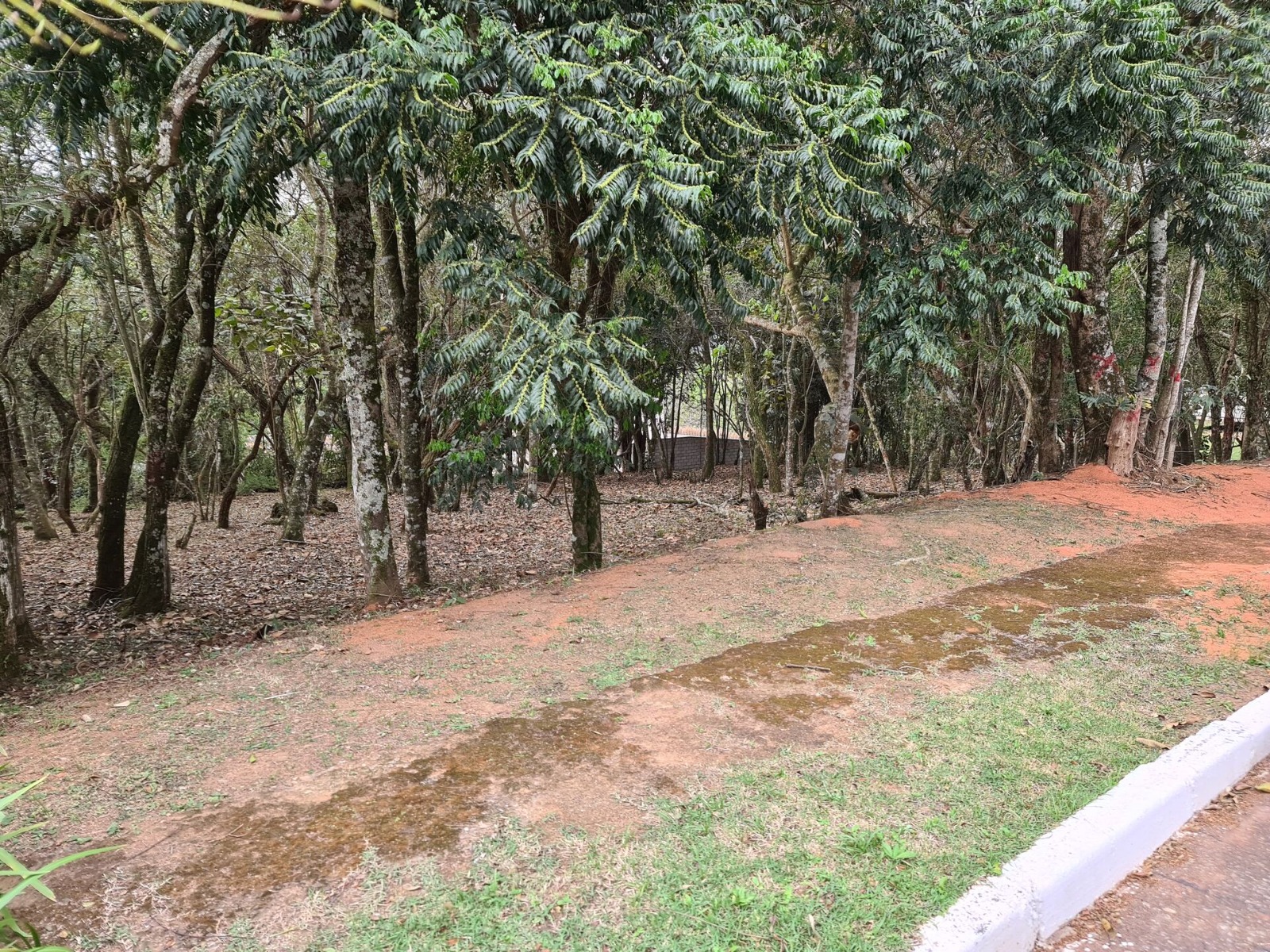 Terreno (Em condomínio) à Venda, 1575m² - Bairro Vila de São Fernando em Cotia - Só Negócios Rentáveis