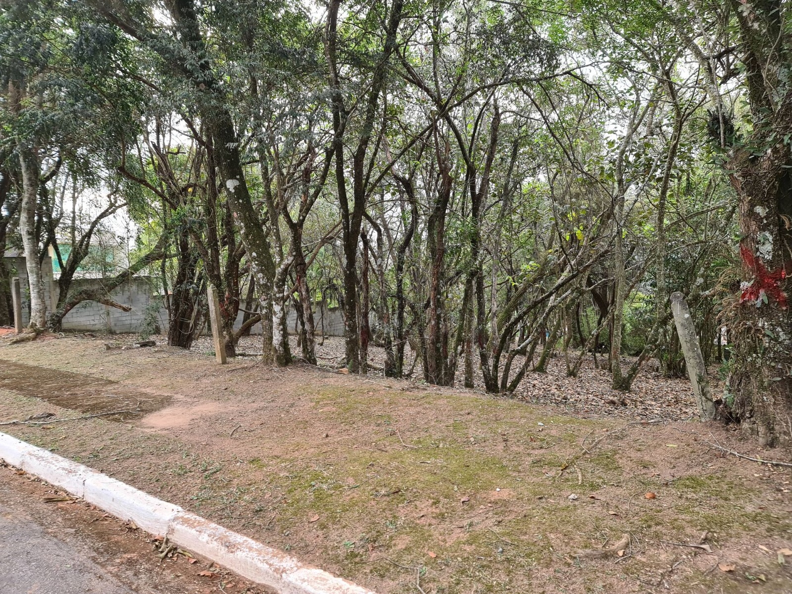 Terreno (Em condomínio) à Venda, 1575m² - Bairro Vila de São Fernando em Cotia - Só Negócios Rentáveis